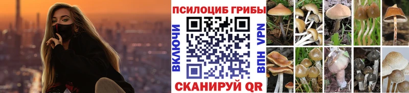 Галлюциногенные грибы Magic Shrooms  Буинск 